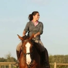 Gwenn D.