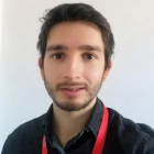 Alexandre A.