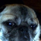 Fred R.
