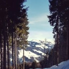 Virginie R.