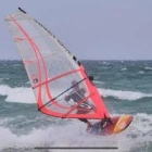 Martin D.