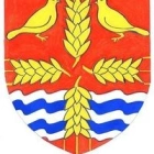 Comité F.
