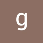 gabriel t.