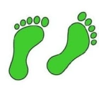Greenfeet T.