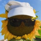 🇫🇷 Didier 🇫🇷 B.