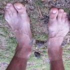 C. L.
