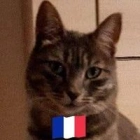 Didier N.