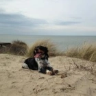 Martine D.