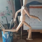 David D.