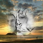 Thierry M.