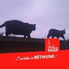 Martine M.