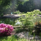 potager sol vivant -.