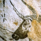 Damien G.