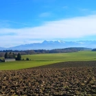 Florian H.