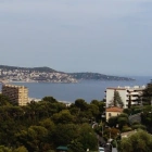 Michelangeli F.