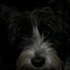 Froger D.