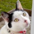 Anita M.