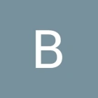 Besancenot D.