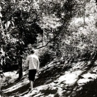João Manoel P.