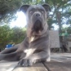 Franck S.