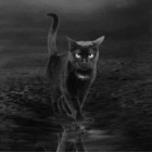 Caty L.