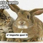 Fabrice P.