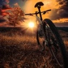 🇧🇷☠️☠️ 🐔.