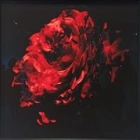 Delphine G.