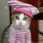 Eliane G.