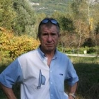 Albert D.