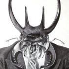 Matthieu C.
