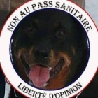 Simon F.
