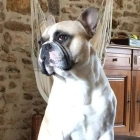 Enzo G.