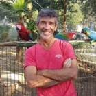 Gilles D.
