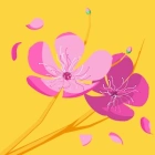 W W.