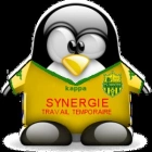 Tanguy C.