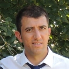Damien P.
