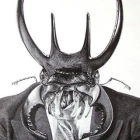 Matthieu C.
