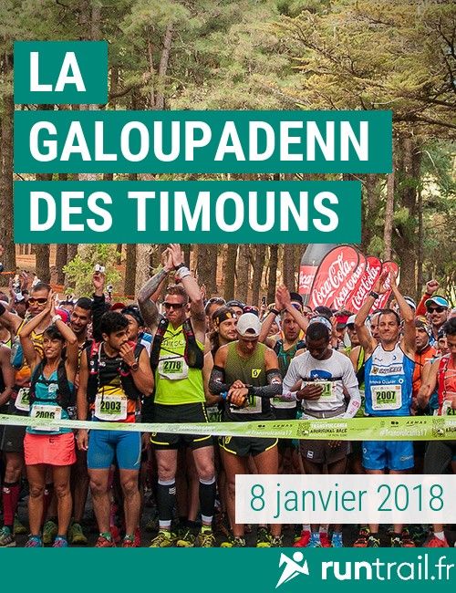 La Galoupadenn des Timouns