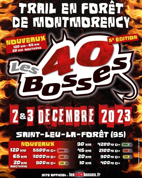Les 40 Bosses