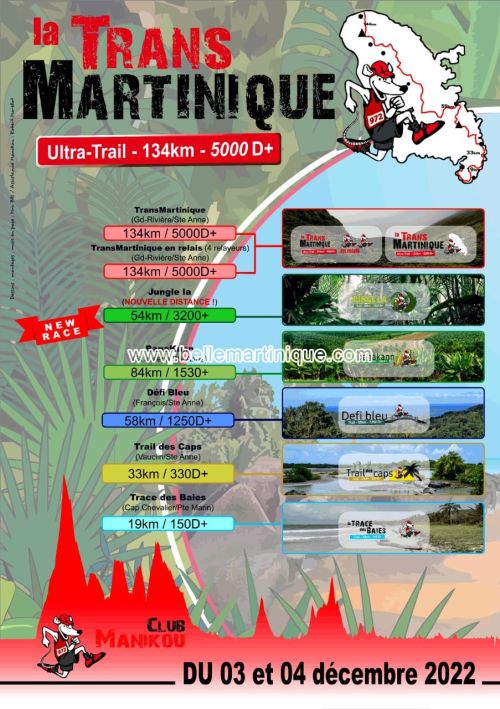 La Transmartinique