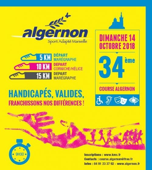 Course Algernon