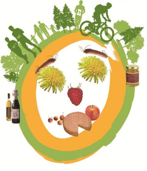Trail des Terroirs Vosgiens