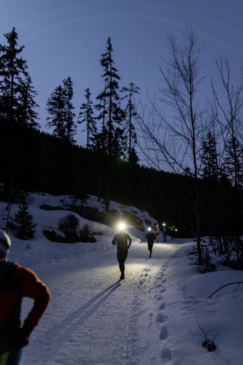 Trail la Fée Blanche